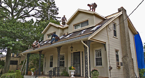 Quick and Trustworthy Emergency Roof Repair Services in Palmer Ranch, FL